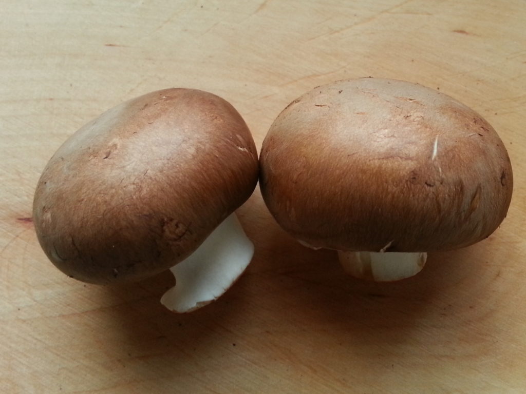 braune-zuchtchampignons | Hausfarm.de