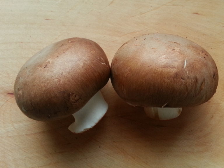 braune-zuchtchampignons | Hausfarm.de