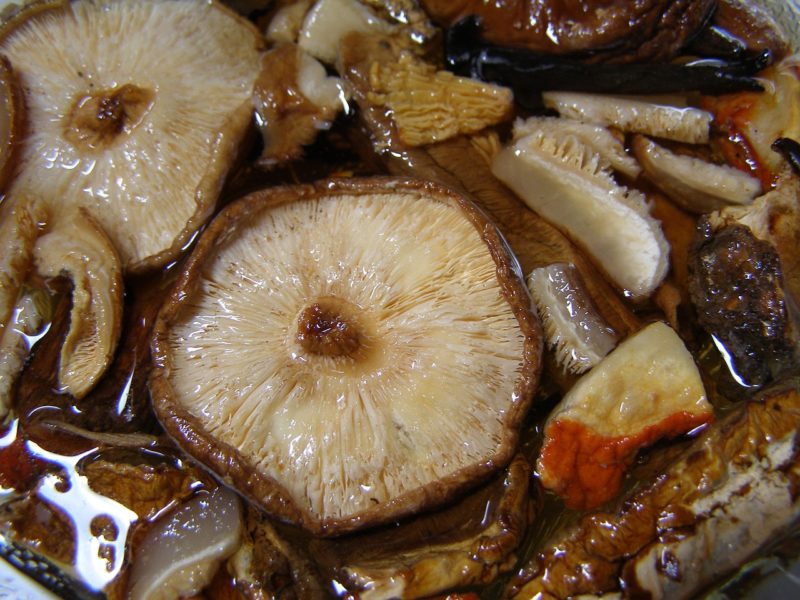 Bild Shiitake Pilze einweichen