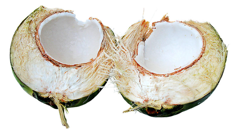 Bild frische Kokosnuss