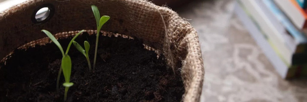 Aus dem Beitragsarchive März 2016 | Hausfarm.de